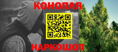 прущие крисы Тара