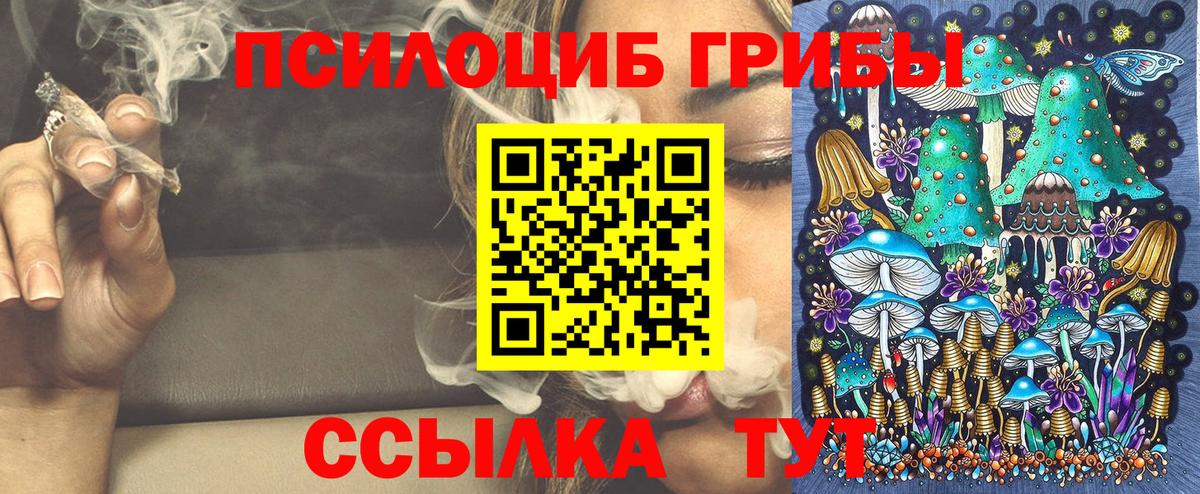 Можга  Псилоцибиновые грибы Psilocybine cubensis  Вход с VPN 